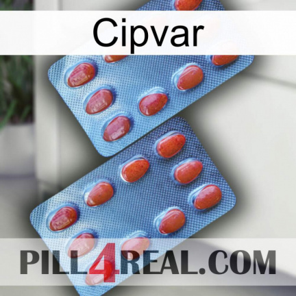 Cipvar 05